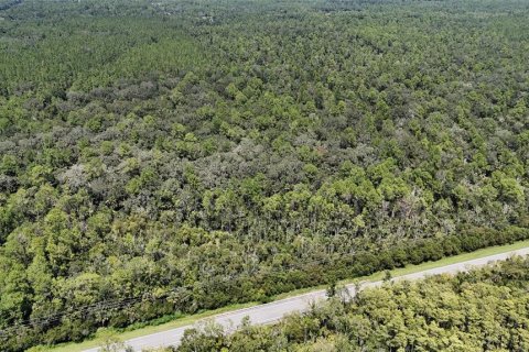 Terreno en venta en Bunnell, Florida № 1910752 - foto 1