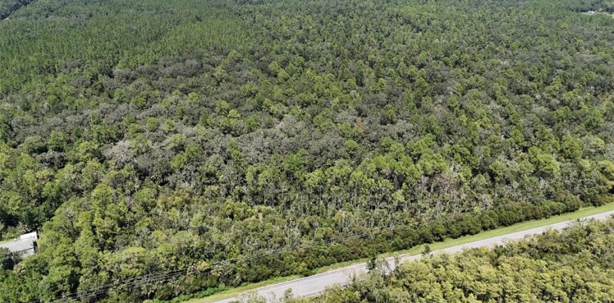 Terrain à Bunnell, Floride № 1910752