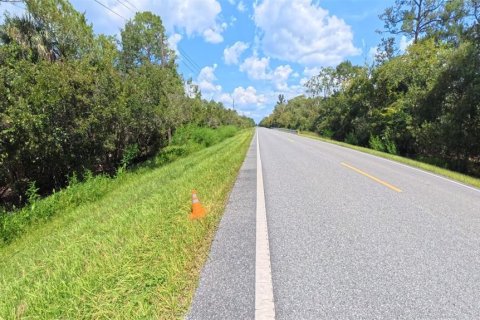 Terreno en venta en Bunnell, Florida № 1910752 - foto 9