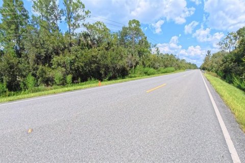 Terreno en venta en Bunnell, Florida № 1910752 - foto 10