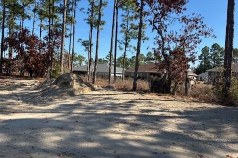Casa en venta en Dunnellon, Florida, 4 dormitorios, 169.08 m2 № 1538101 - foto 9