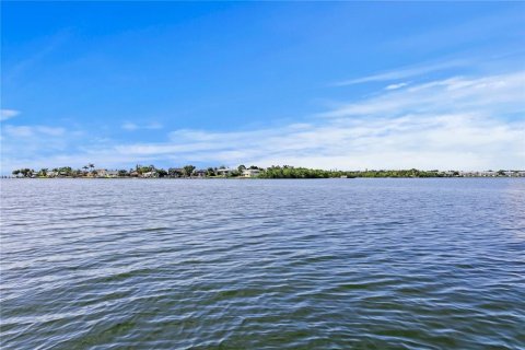 House in Saint Petersburg, Florida 4 bedrooms, 370.87 sq.m. № 1873845 - photo 21