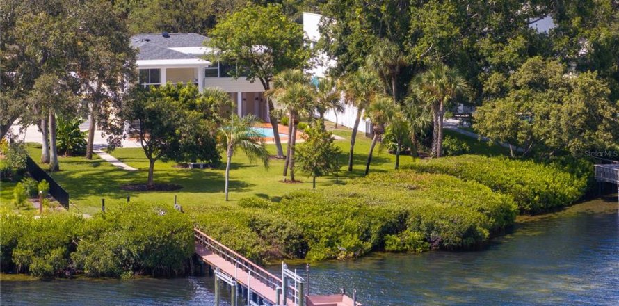 House in Saint Petersburg, Florida 4 bedrooms, 370.87 sq.m. № 1873845