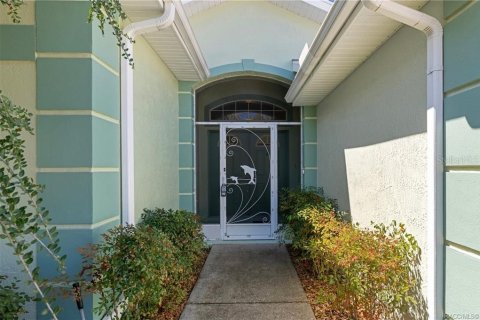 House in Dunnellon, Florida 3 bedrooms, 224.82 sq.m. № 1894483 - photo 3