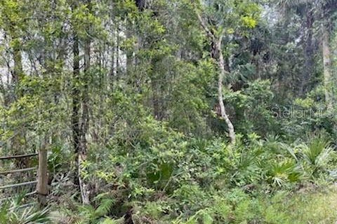 Terreno en venta en Homosassa, Florida № 216456 - foto 6