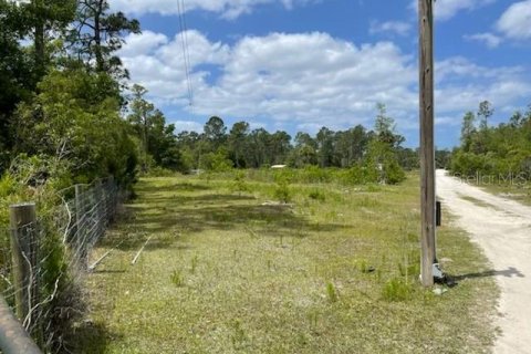 Terreno en venta en Homosassa, Florida № 216456 - foto 4