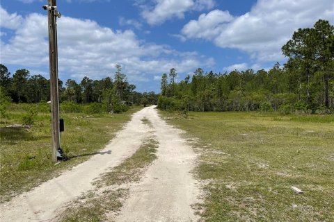 Terreno en venta en Homosassa, Florida № 216456 - foto 12