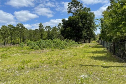 Terreno en venta en Homosassa, Florida № 216456 - foto 7