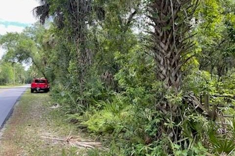 Terreno en venta en Homosassa, Florida № 216456 - foto 5