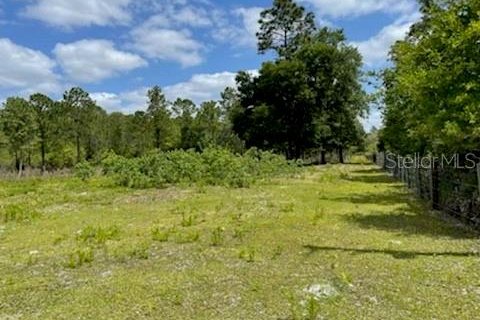 Terreno en venta en Homosassa, Florida № 216456 - foto 11