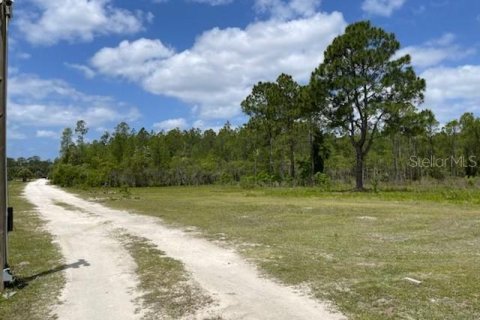 Terreno en venta en Homosassa, Florida № 216456 - foto 3