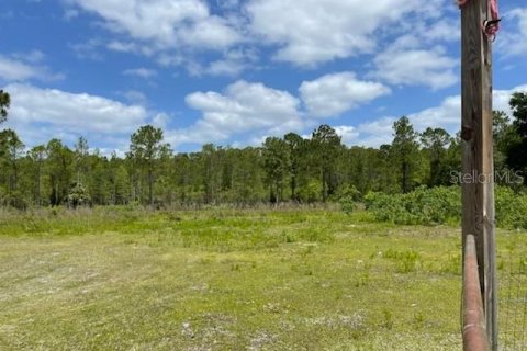 Terreno en venta en Homosassa, Florida № 216456 - foto 10