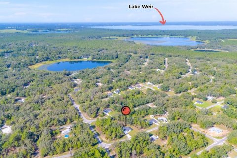 House in Ocklawaha, Florida 4 bedrooms, 155.33 sq.m. № 1884510 - photo 5