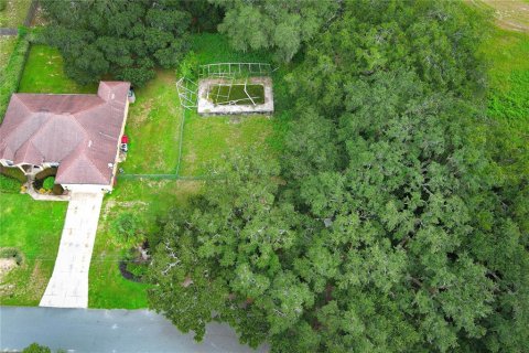 Terrain à vendre à Leesburg, Floride № 1802362 - photo 24