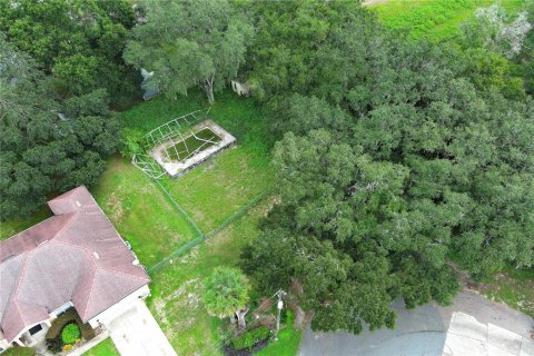 Terrain à vendre à Leesburg, Floride № 1802362 - photo 28