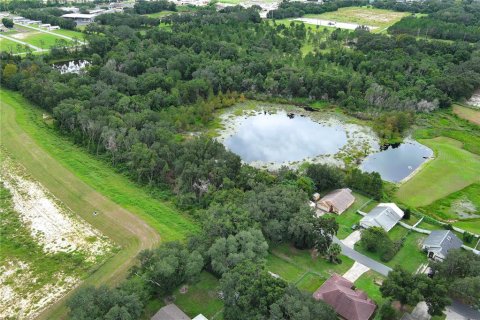 Land in Leesburg, Florida № 1802362 - photo 14