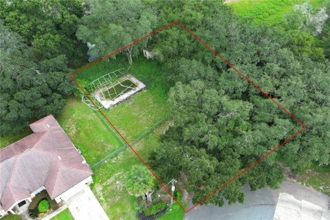 Terreno en venta en Leesburg, Florida № 1802362 - foto 27