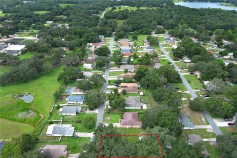 Terrain à vendre à Leesburg, Floride № 1802362 - photo 19