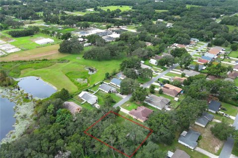 Terreno en venta en Leesburg, Florida № 1802362 - foto 17