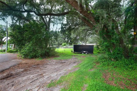 Terrain à vendre à Leesburg, Floride № 1802362 - photo 29