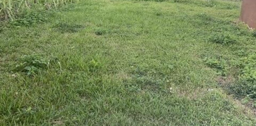 House in South Bay, Florida 3 bedrooms, 106.19 sq.m. № 1101948