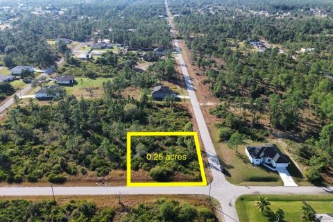 Terreno en Lehigh Acres, Florida № 2202985