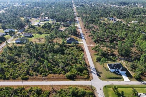 Land in Lehigh Acres, Florida № 2202985 - photo 2