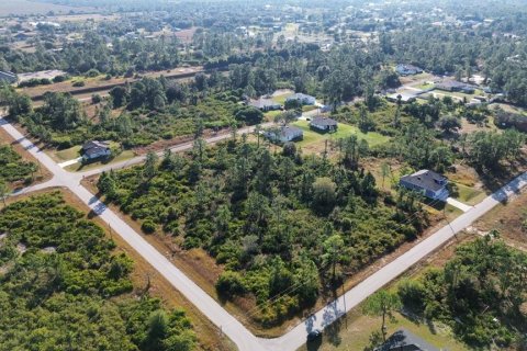 Land in Lehigh Acres, Florida № 2202985 - photo 4