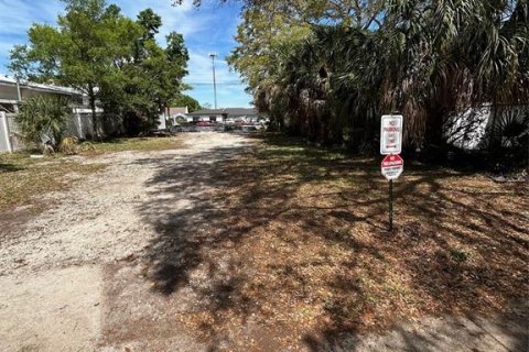 Terreno en venta en Safety Harbor, Florida № 1061902 - foto 6