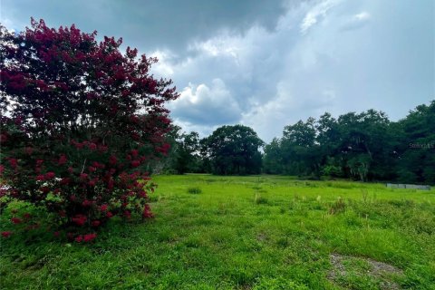Land in Lakeland, Florida № 1780869 - photo 7