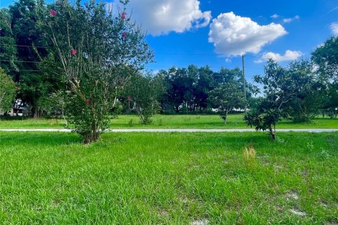 Land in Lakeland, Florida № 1780869 - photo 2