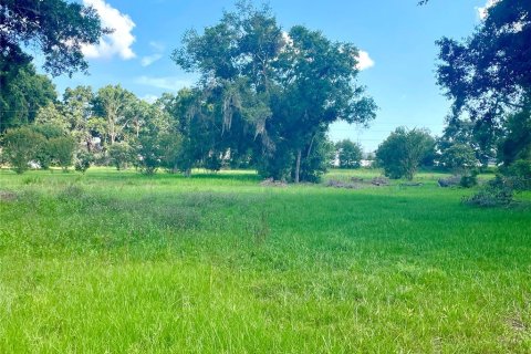 Land in Lakeland, Florida № 1780869 - photo 4