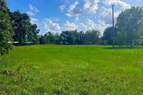 Land in Lakeland, Florida № 1780869 - photo 3