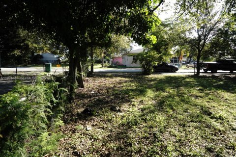 Land in Miami, Florida № 1990113 - photo 6
