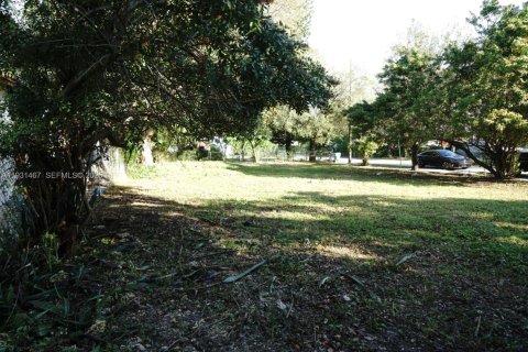 Land in Miami, Florida № 1990113 - photo 11