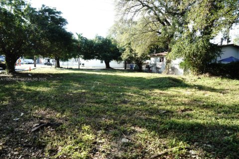 Land in Miami, Florida № 1990113 - photo 7