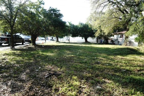 Land in Miami, Florida № 1990113 - photo 1