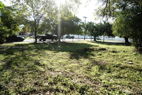 Land in Miami, Florida № 1990113 - photo 5