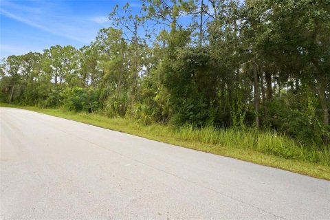 Land in Palm Bay, Florida № 2378177 - photo 2
