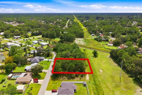 Land in Palm Bay, Florida № 2378177 - photo 9