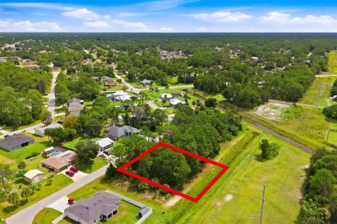 Land in Palm Bay, Florida № 2378177 - photo 8
