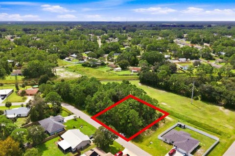 Land in Palm Bay, Florida № 2378177 - photo 10