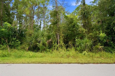Land in Palm Bay, Florida № 2378177