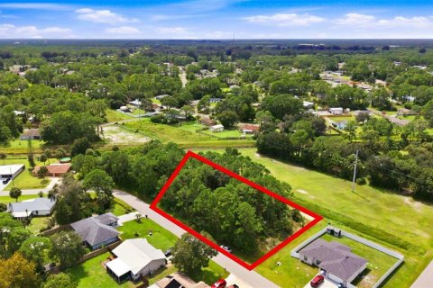 Land in Palm Bay, Florida № 2378177 - photo 13