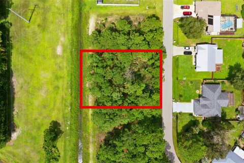 Land in Palm Bay, Florida № 2378177 - photo 4