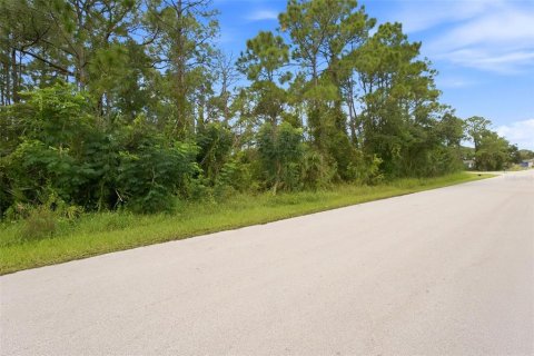 Land in Palm Bay, Florida № 2378177 - photo 3