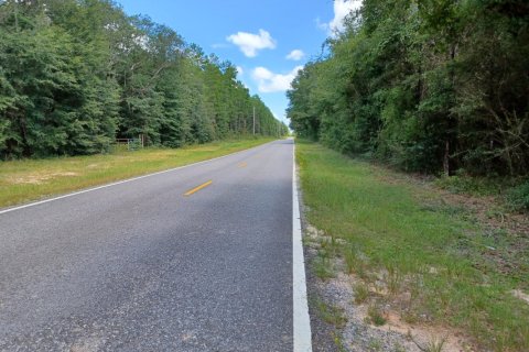 Land in Holt, Florida № 560479 - photo 1