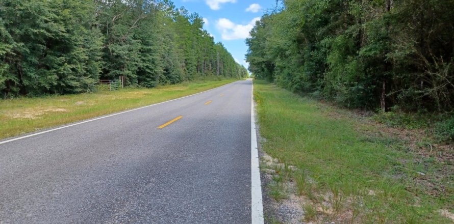 Land in Holt, Florida № 560479