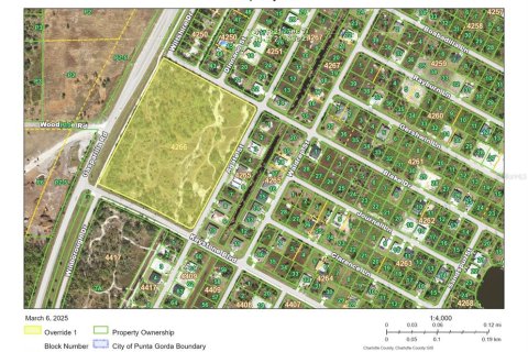 Land in Port Charlotte, Florida № 1551202 - photo 5