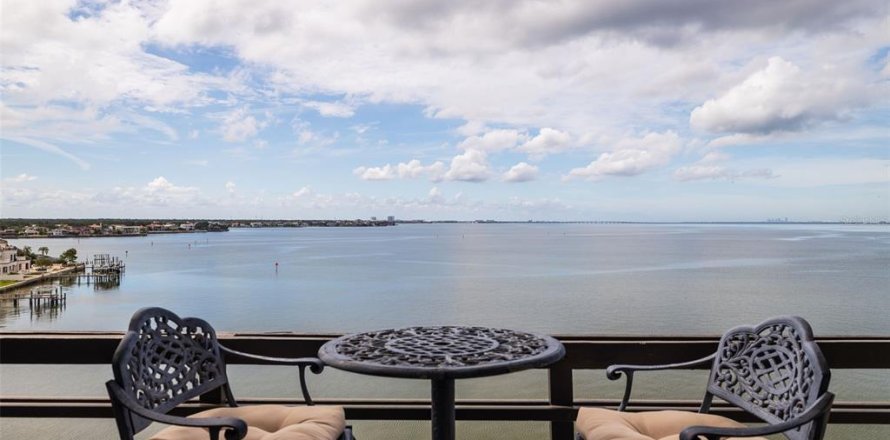 Condo à Tampa, Floride, 2 chambres № 2302296